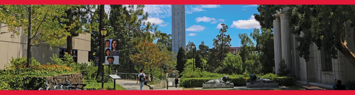 Converse International School of Languages Summer Camp - UC Berkeley