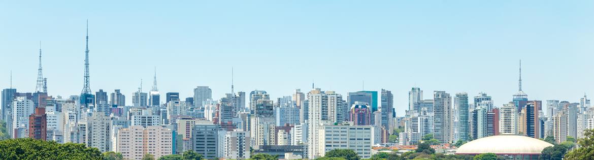 2016 Mission to São Paulo