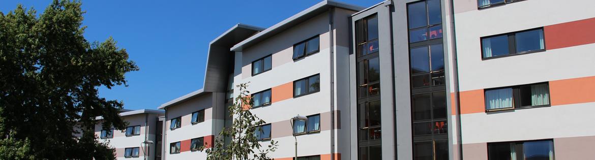 Lewis School of English - Reading Summer Junior Centre