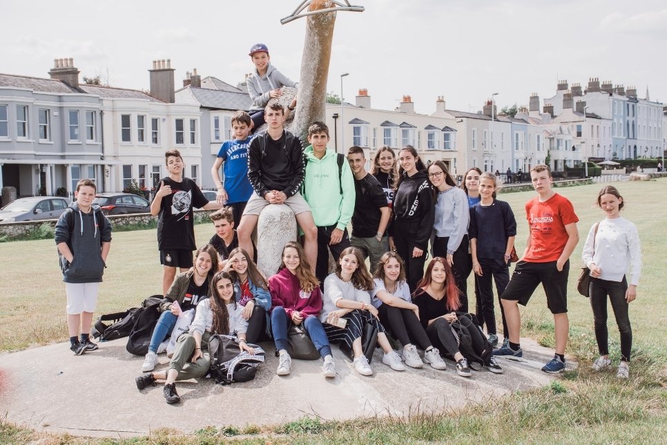 Viva Junior Summer School 2
