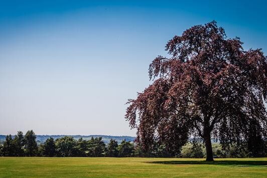 UKLC - Queenswood School 4